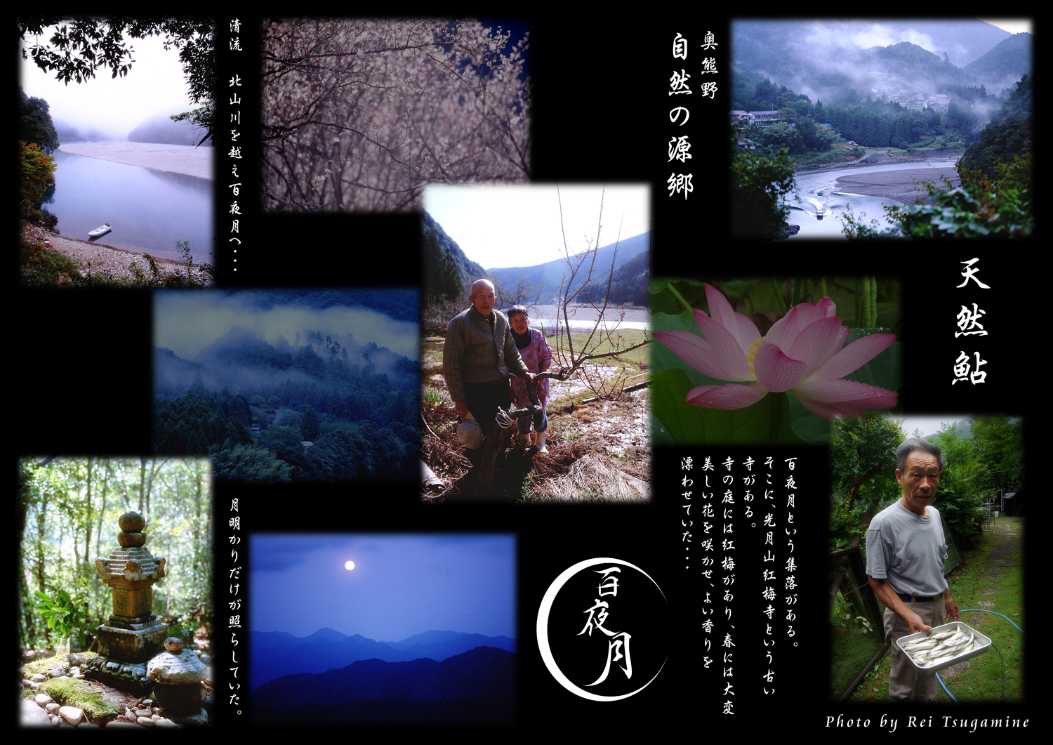 百夜月販促パネル