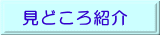 見どころ紹介