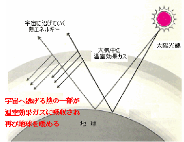 ���g�����J�j�Y���}