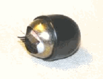 �l�`�̖ڋʊO��