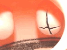 �C�������