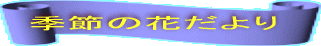 lG̎ʐ^Ȃ