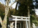 東吉野村瀧野の水分神社の裏手の大ケヤキ
