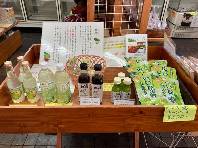 代替テキスト