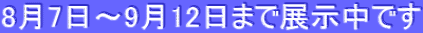 8月7日～9月12日まで展示中です