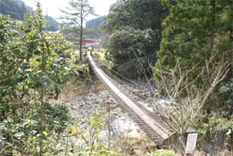 苴
