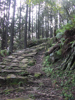 熊野古道の石畳