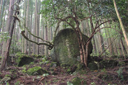 楠の久保旅籠跡