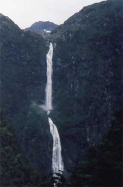 nz