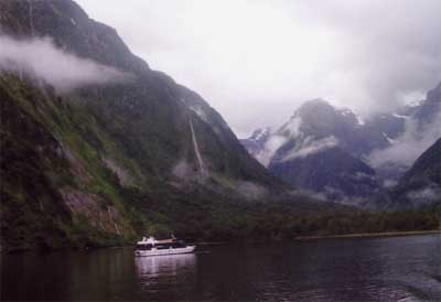 nz