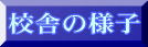 �Z�ɂ̗l�q