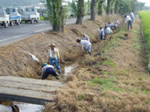 排水路の川さらえ