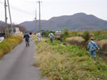 排水路の草刈