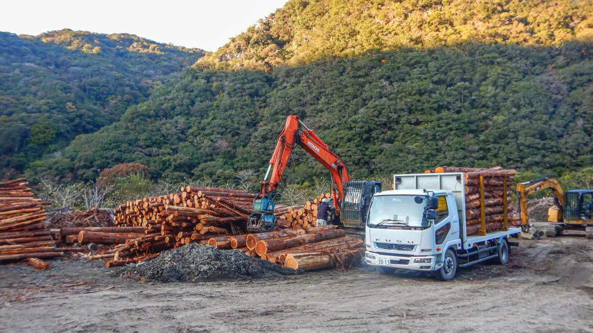 南紀森林組合の作業風景