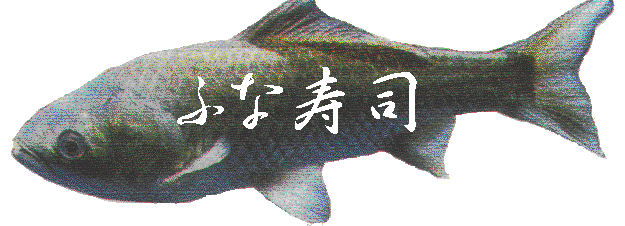 ӂȎi
