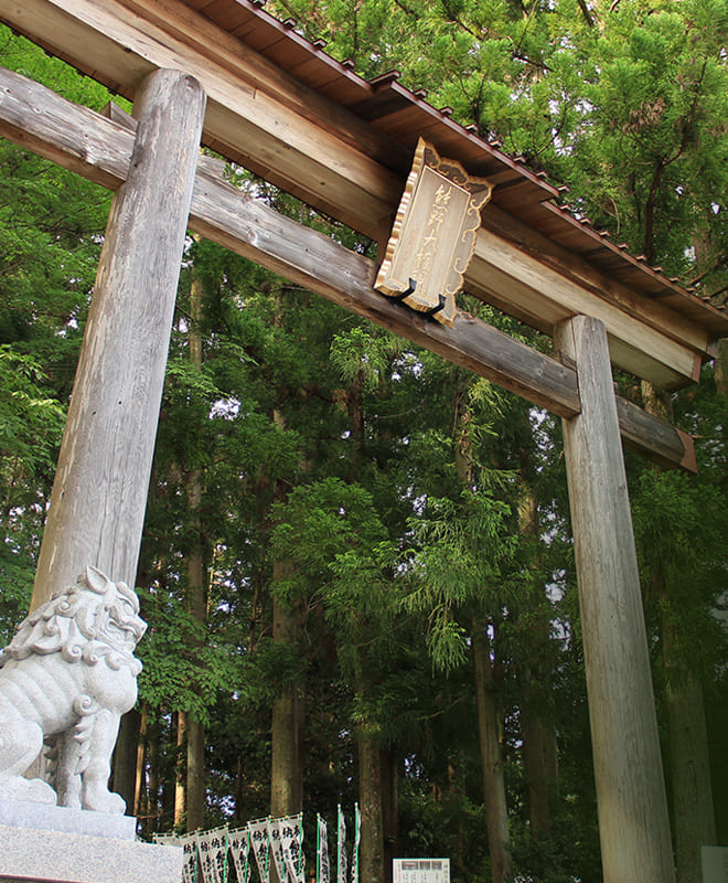 世界遺産 熊野古道散策に