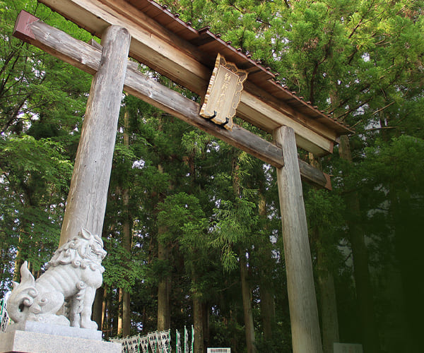 世界遺産 熊野古道散策に